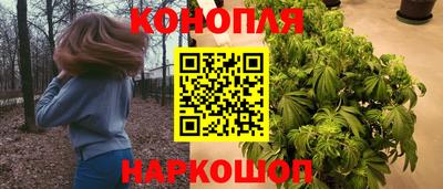 прущие грибы Рязань