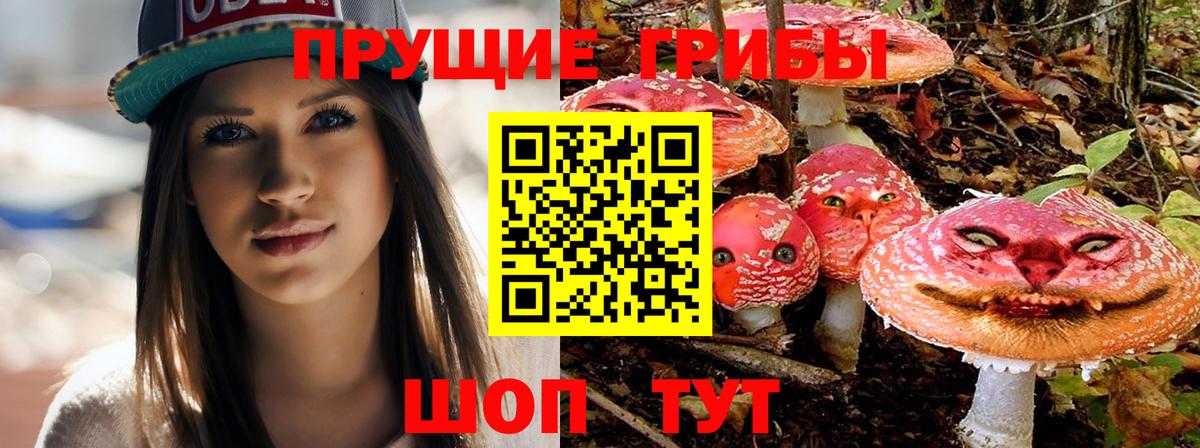 Мурманск  закладка  Вход с VPN  Псилоцибиновые грибы Psilocybe  Псилоцибиновые грибы MAGIC MUSHROOMS 